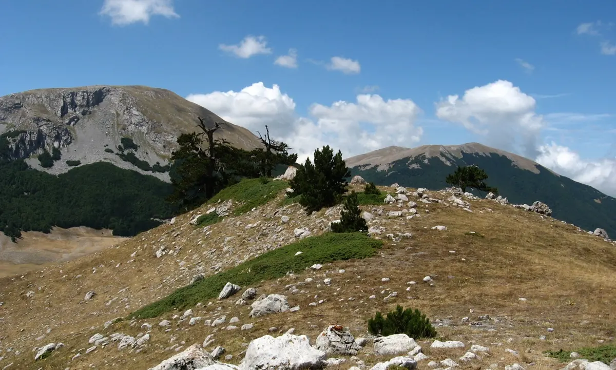 Pollino Enoico Festival a Campotenese dal 28 al 30 ottobre: ecco il programma