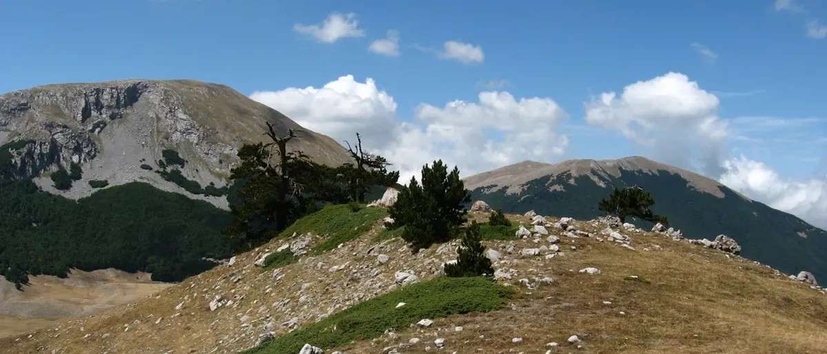 Pollino Enoico Festival a Campotenese dal 28 al 30 ottobre: ecco il programma