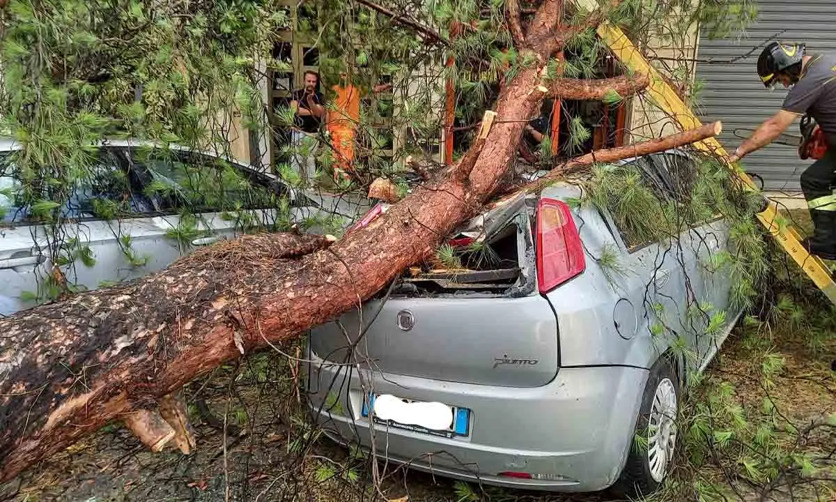 Cosenza, i danni della tempesta: alberi spezzati e allagamenti - FOTO