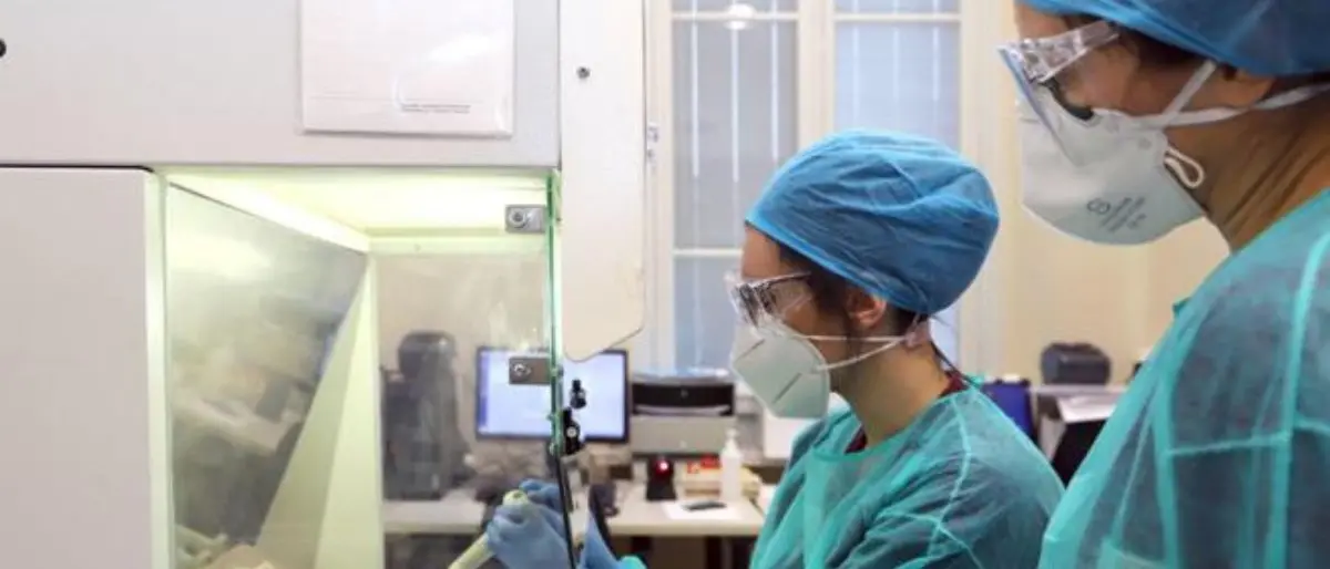 Covid Italia, 86.067 contagi e 157 decessi: bollettino del 20 luglio