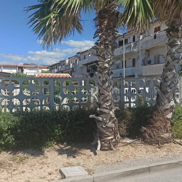 Tragedia a Santa Maria del Cedro: turista 28enne si sente male e muore