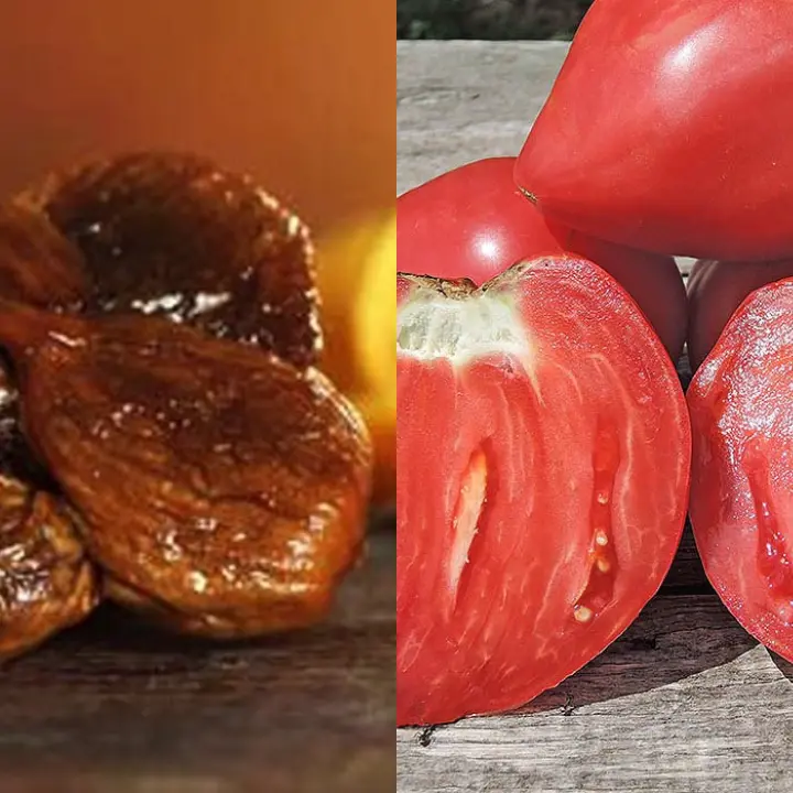 Le eccellenze gastronomiche di Belmonte Calabro: dalle crocette di fichi ai pomodori