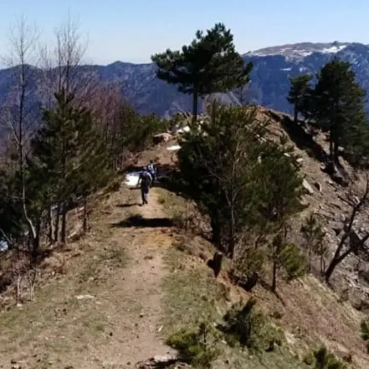 Ritrovati i due anziani dispersi in Sila mentre cercavano funghi