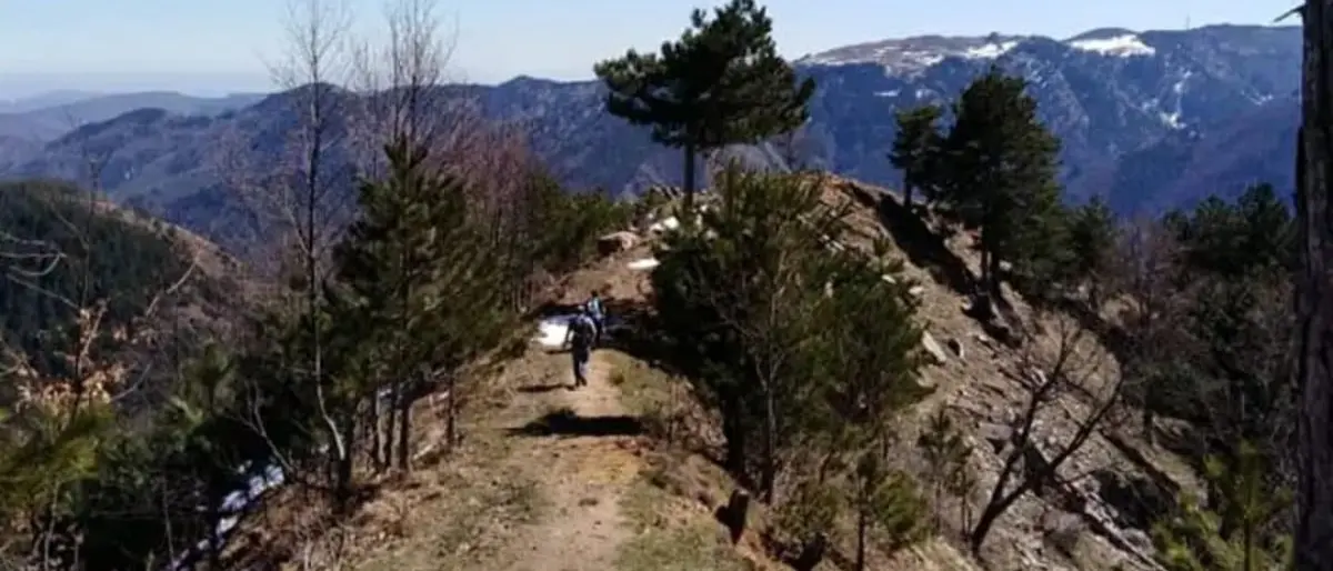 Ritrovati i due anziani dispersi in Sila mentre cercavano funghi