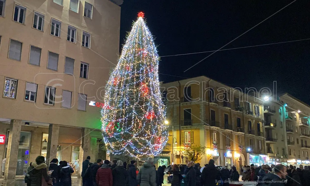 Cosenza s'illumina di festa ma con sobrietà. Caruso battezza l'albero di Natale in piazza