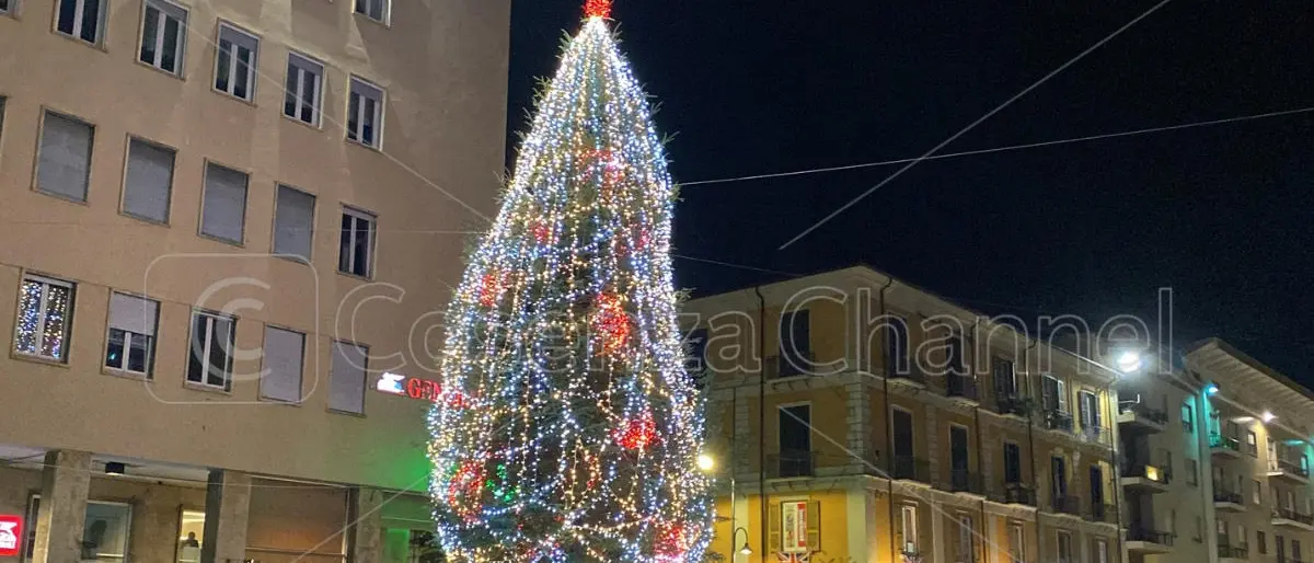Cosenza s'illumina di festa ma con sobrietà. Caruso battezza l'albero di Natale in piazza