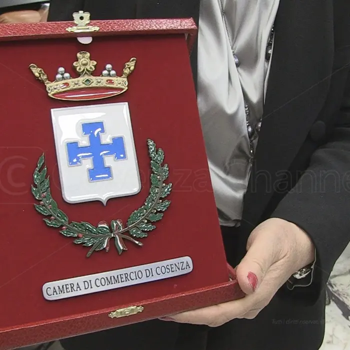 La croce potenziata nel gonfalone della Camera di Commercio di Cosenza (VIDEO)