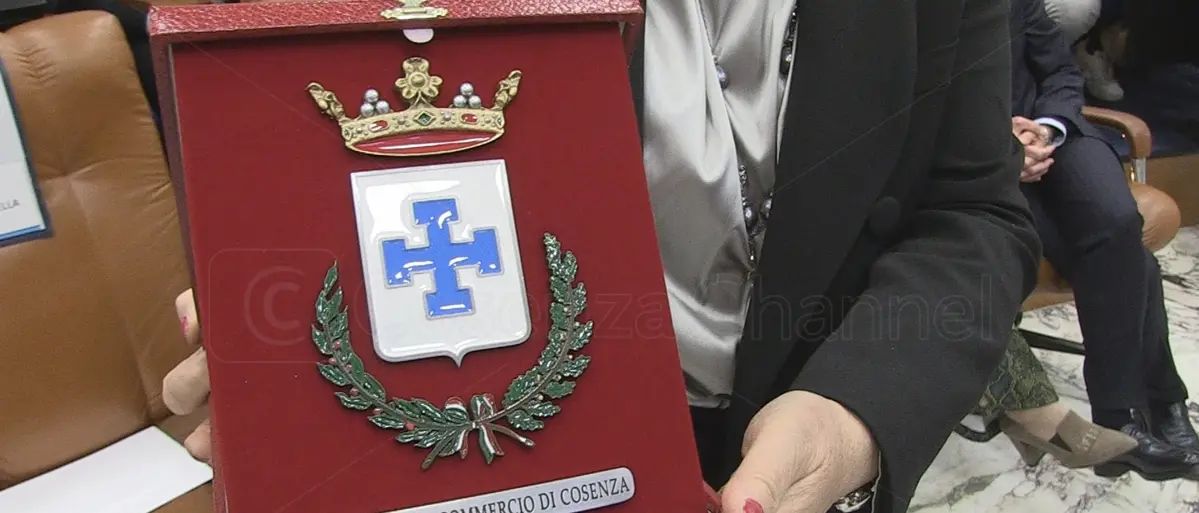 La croce potenziata nel gonfalone della Camera di Commercio di Cosenza (VIDEO)