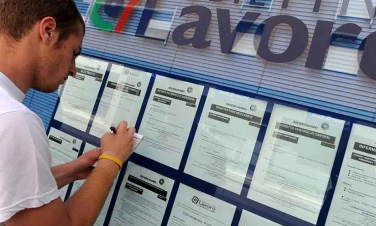 Il Centro per l'Impiego di Cosenza al servizio del territorio