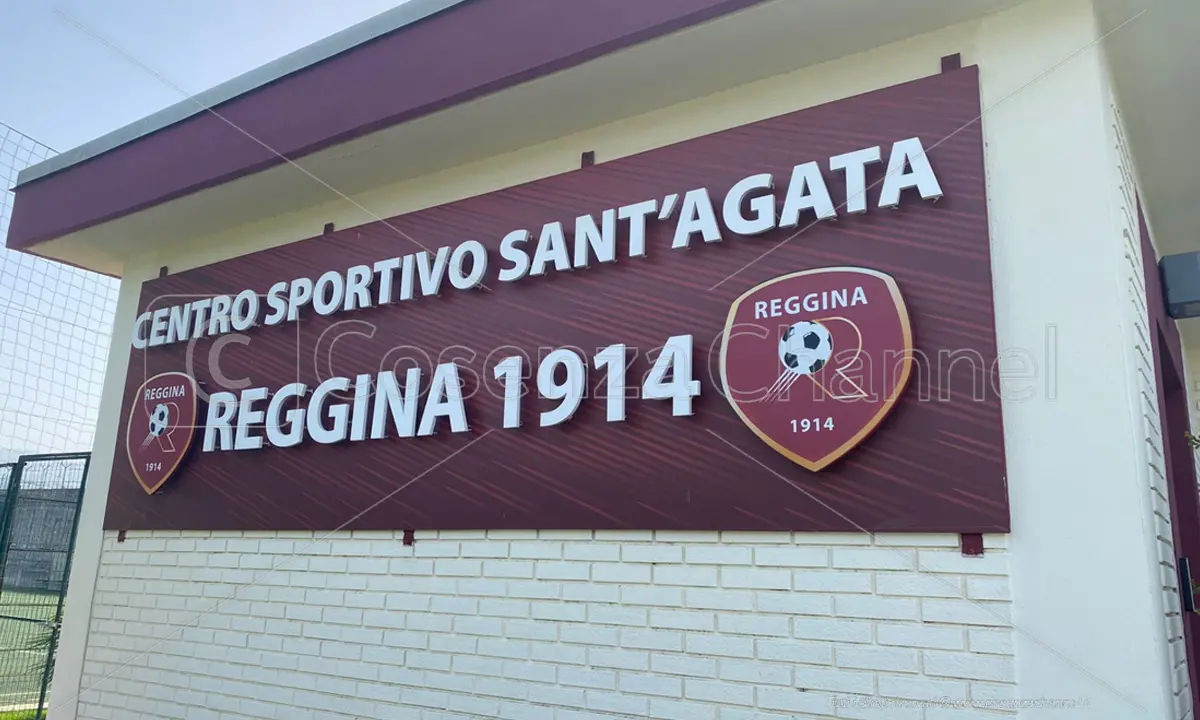 Reggina pronta ad essere acquistata da un consorzio vinicolo pugliese