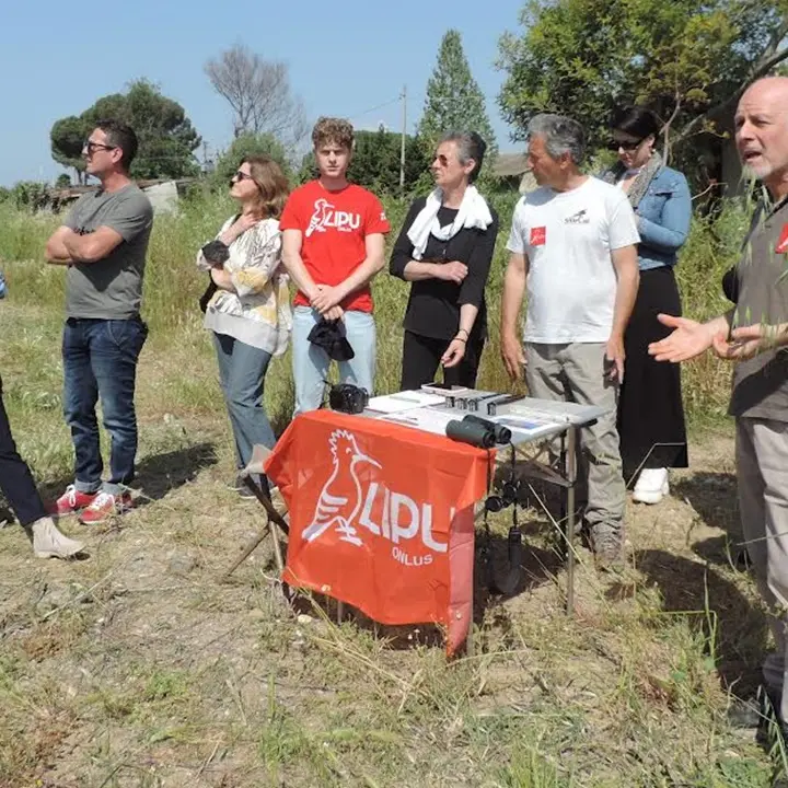 Lipu Rende, al via l'iniziativa \"Un nome per la cicogna\": inanellati i primi esemplari - VIDEO E FOTO