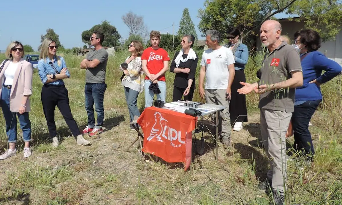 Lipu Rende, al via l'iniziativa \"Un nome per la cicogna\": inanellati i primi esemplari - VIDEO E FOTO