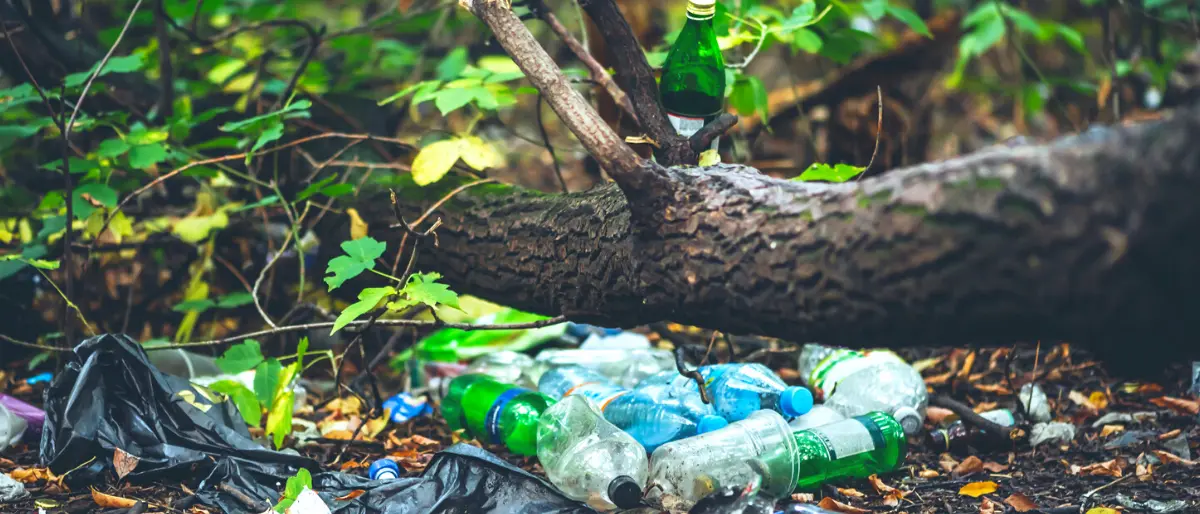 I paladini del territorio: ecco come l'uomo può difendere la natura. Tutte le iniziative in provincia di Cosenza