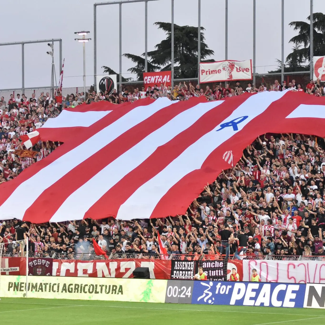 La Curva Sud del Vicenza: «Tutti a Cosenza per quest'ultima sfida»