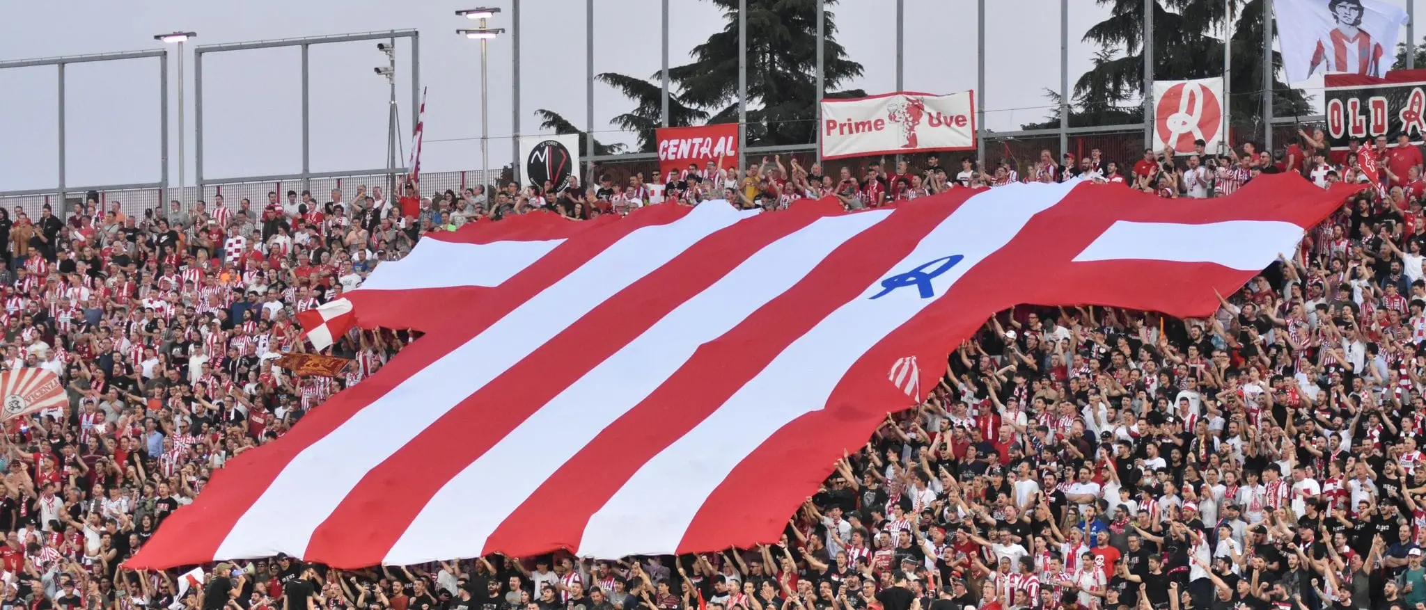 La Curva Sud del Vicenza: «Tutti a Cosenza per quest'ultima sfida»