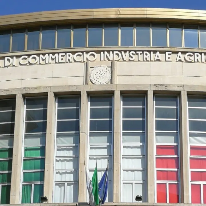 Camera di Commercio di Cosenza, incentivi alle startup\n