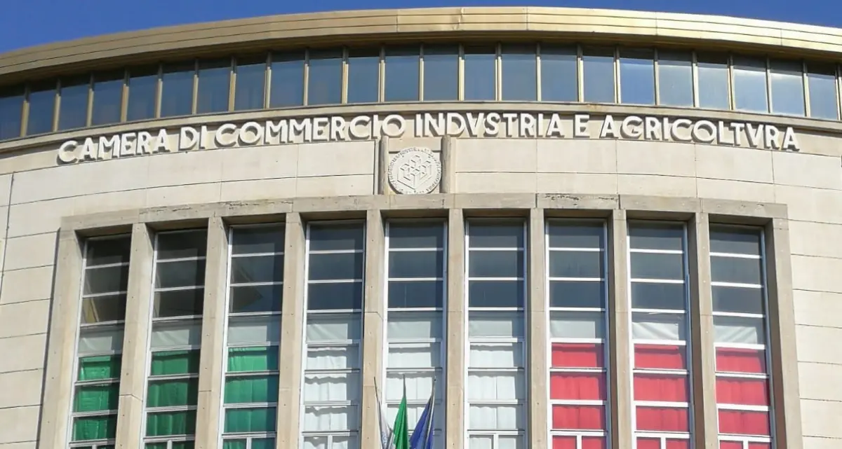 Camera di Commercio di Cosenza, incentivi alle startup\n
