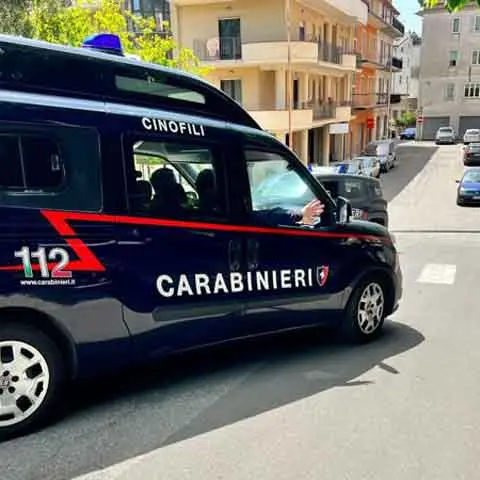 Estorsioni e intimidazioni a Cetraro, clinica di Belvedere Marittimo nel mirino del gruppo Scornaienchi\n