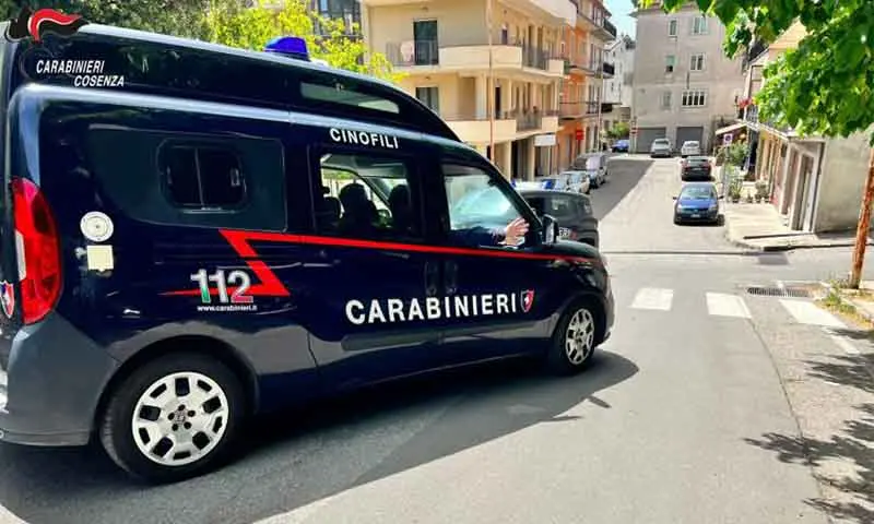 Estorsioni e intimidazioni a Cetraro, clinica di Belvedere Marittimo nel mirino del gruppo Scornaienchi\n