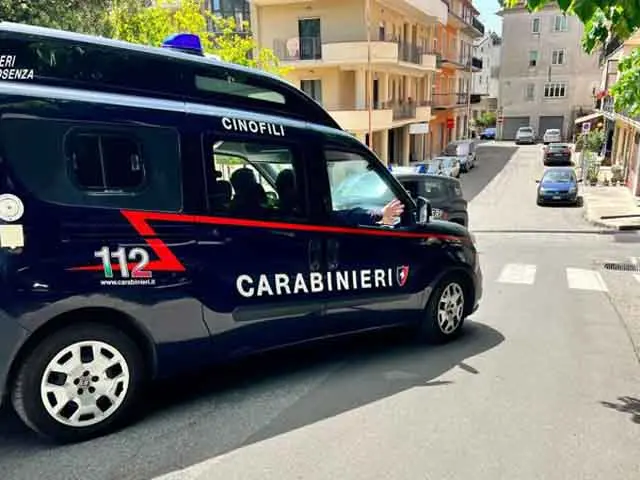 Estorsioni e intimidazioni a Cetraro, clinica di Belvedere Marittimo nel mirino del gruppo Scornaienchi