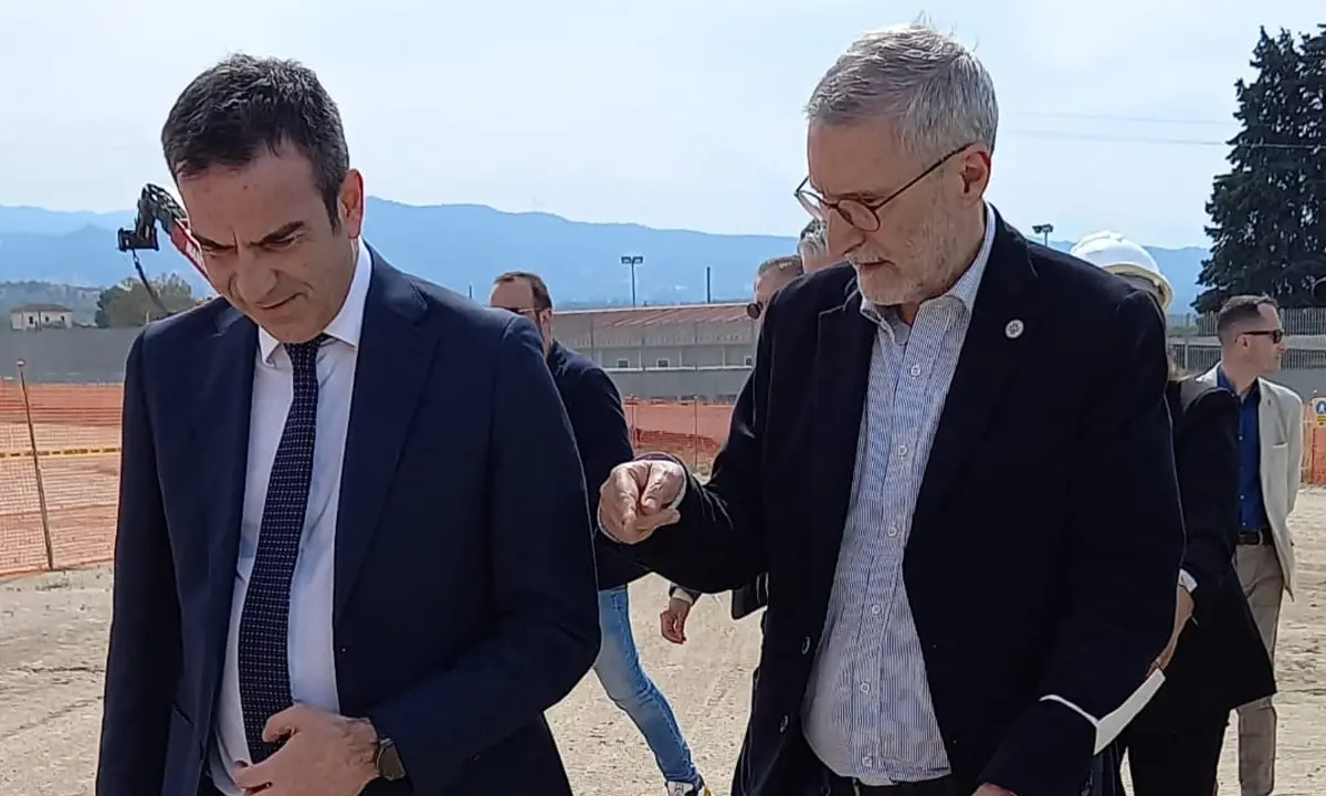 Laghi interroga Occhiuto sulla tutela dei Gigli di Mare dopo gli atti vandalici