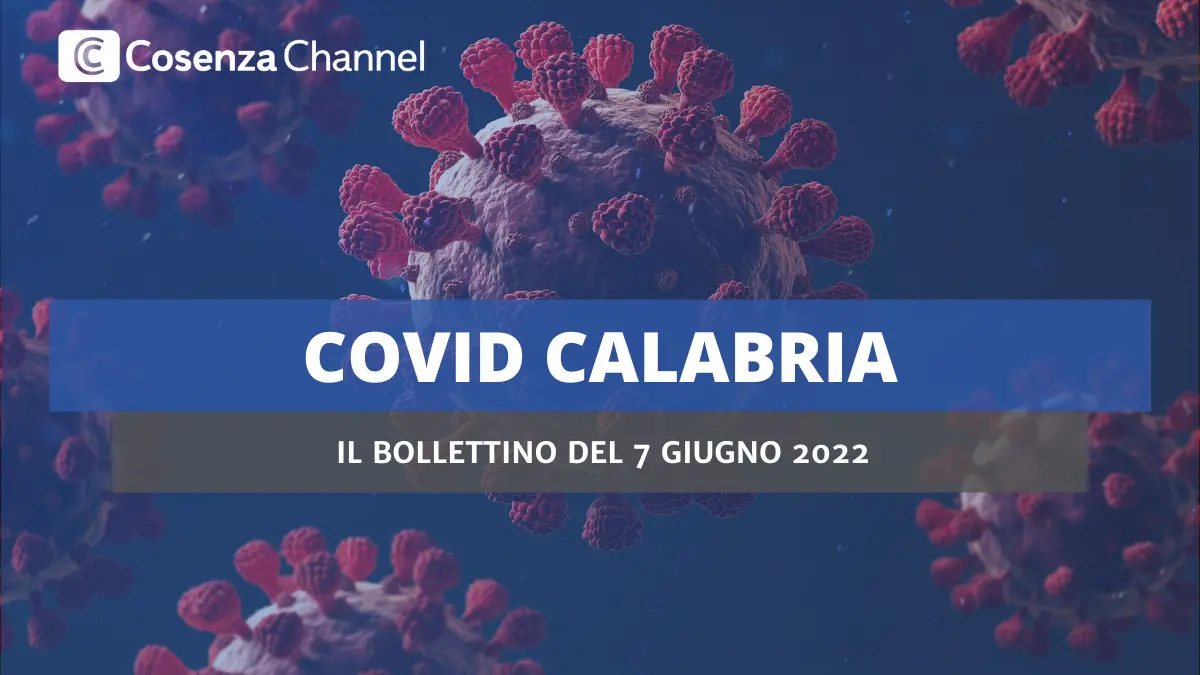 Bollettino Covid Calabria, a Cosenza 226 contagi e nessun decesso