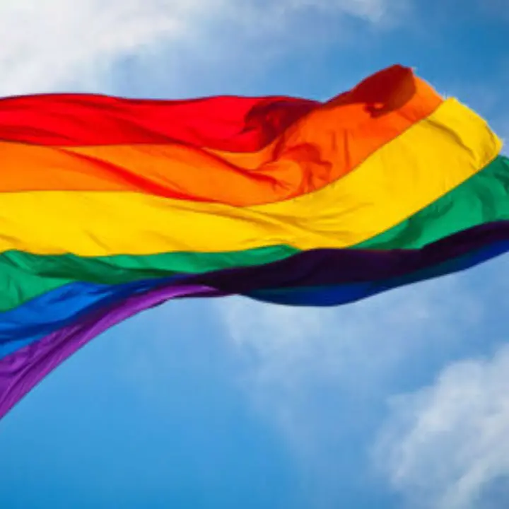 Cosenza, primo matrimonio gay al chiostro di San Domenico: c'è il patrocinio del Comune