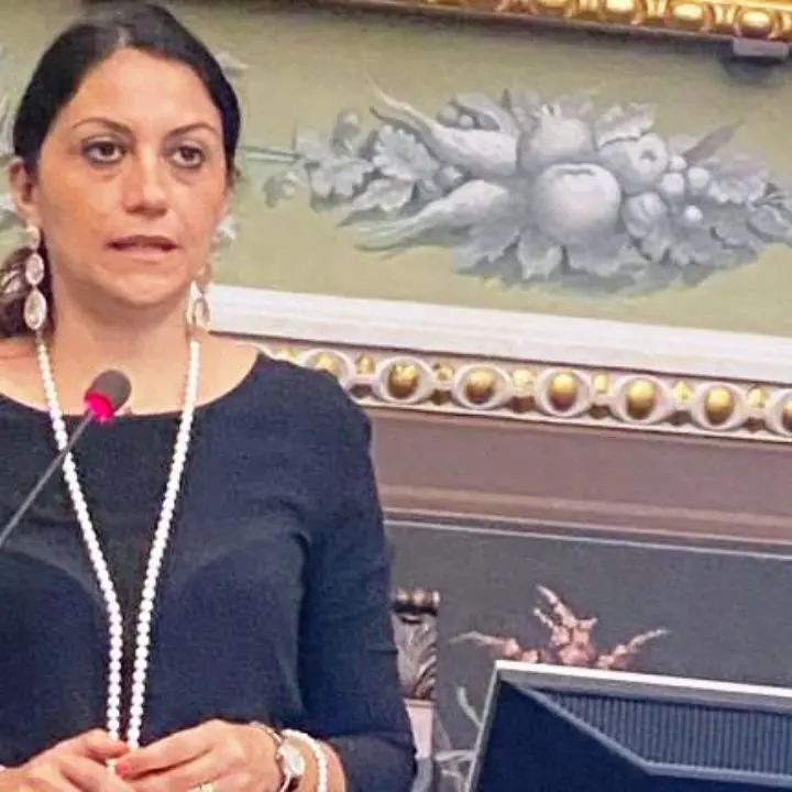 Il Consiglio Provinciale ha adottato il rendiconto consuntivo 2021