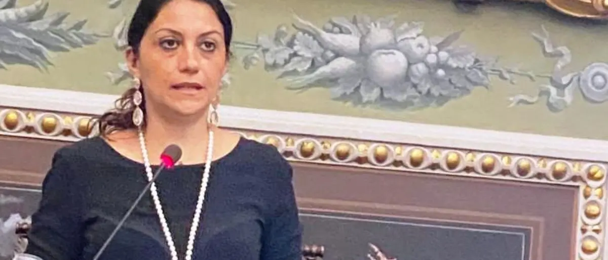 Succurro: «Manna prova a spostare la questione sul piano politico. Ma è solo giudiziario»