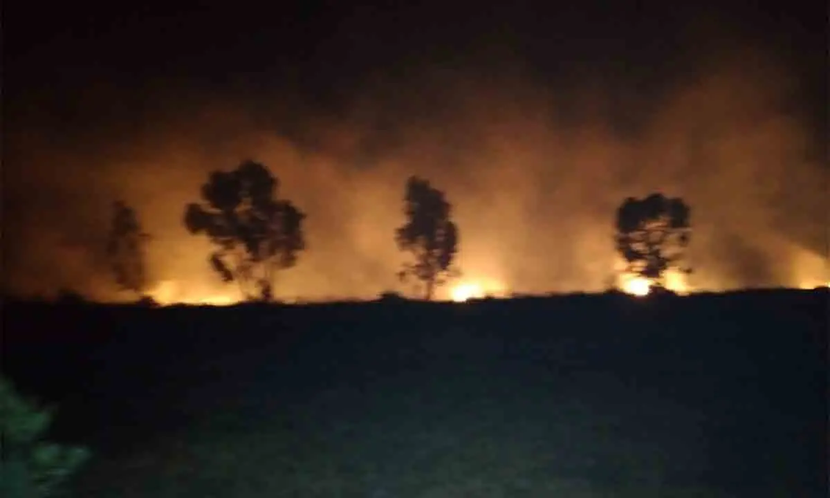 Laghi di Sibari, incendio di vaste dimensioni domato solo a tarda notte