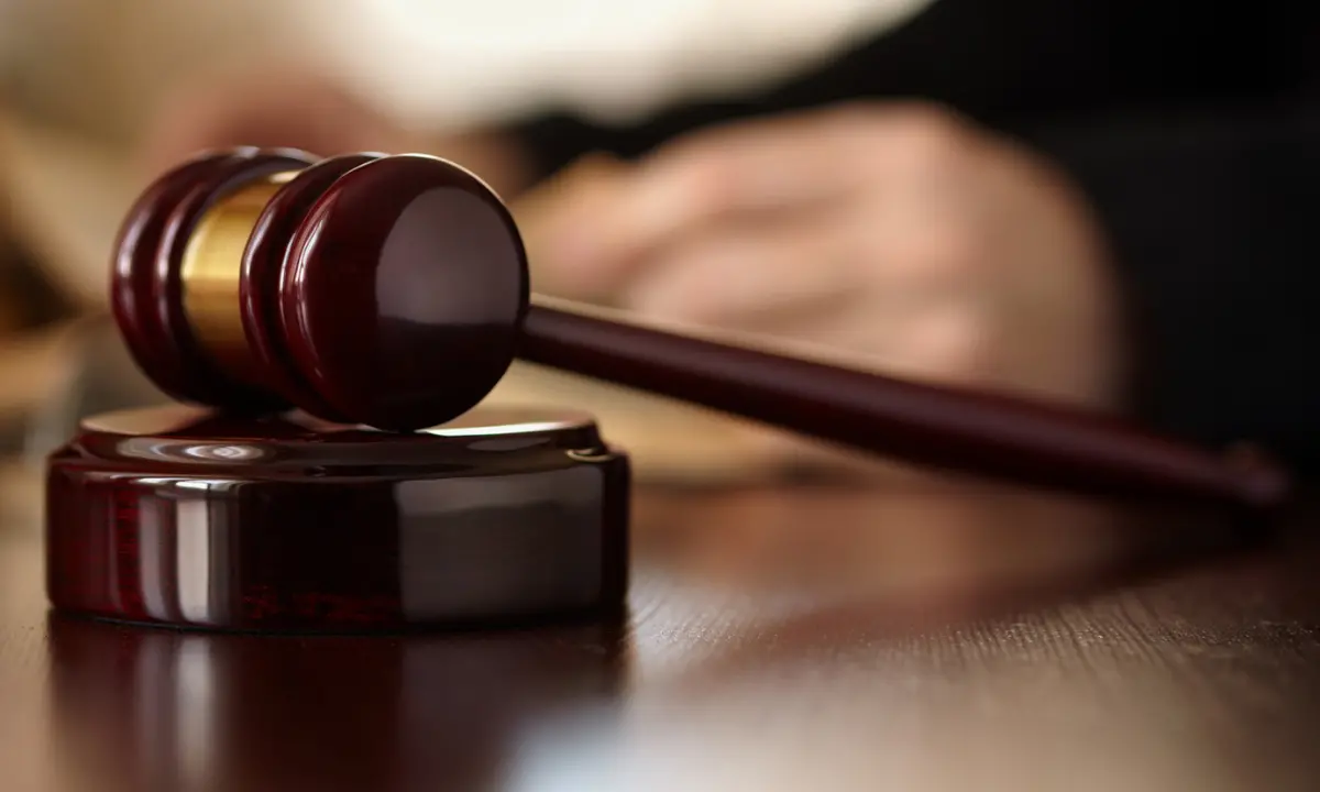 Imprenditore immobiliare vessato dal Comune di Crosia: vince 11 volte al TAR
