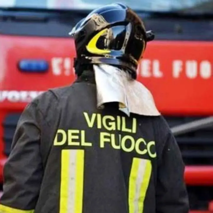 Plataci, incendio nell'area montana del Pollino: intervengono i pompieri