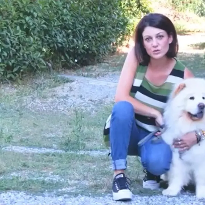 Cosenza, il Regolamento sulla tutela degli animali è realtà