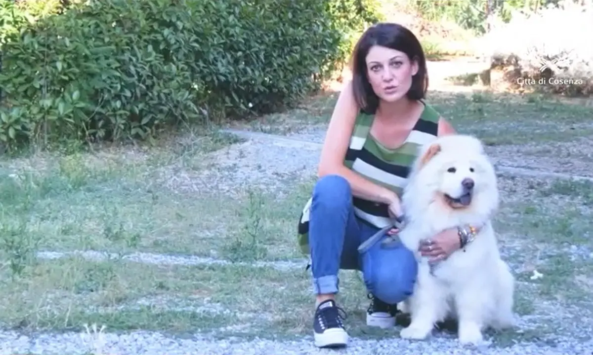 Cosenza, il Regolamento sulla tutela degli animali è realtà