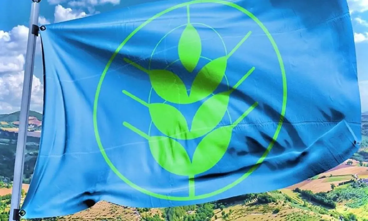 \"Spighe verdi\", 7 i comuni calabresi nell'elenco delle località rurali virtuose: 5 sono cosentini