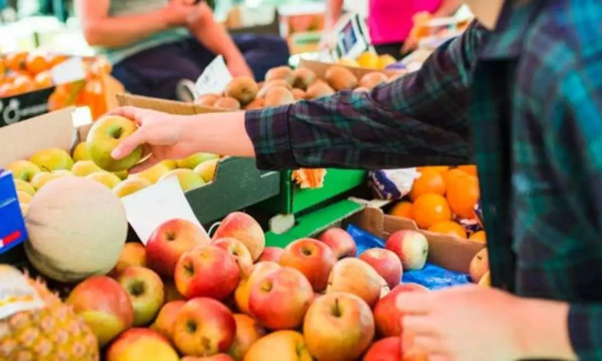 Economia in Calabria, trend in crescita nel settore ortofrutticolo