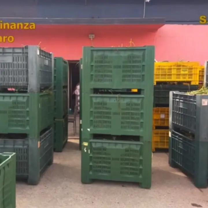 \"Crypto\", le difese: «Le accuse contro Suriano e Porcaro passino alla Dda di Catanzaro»