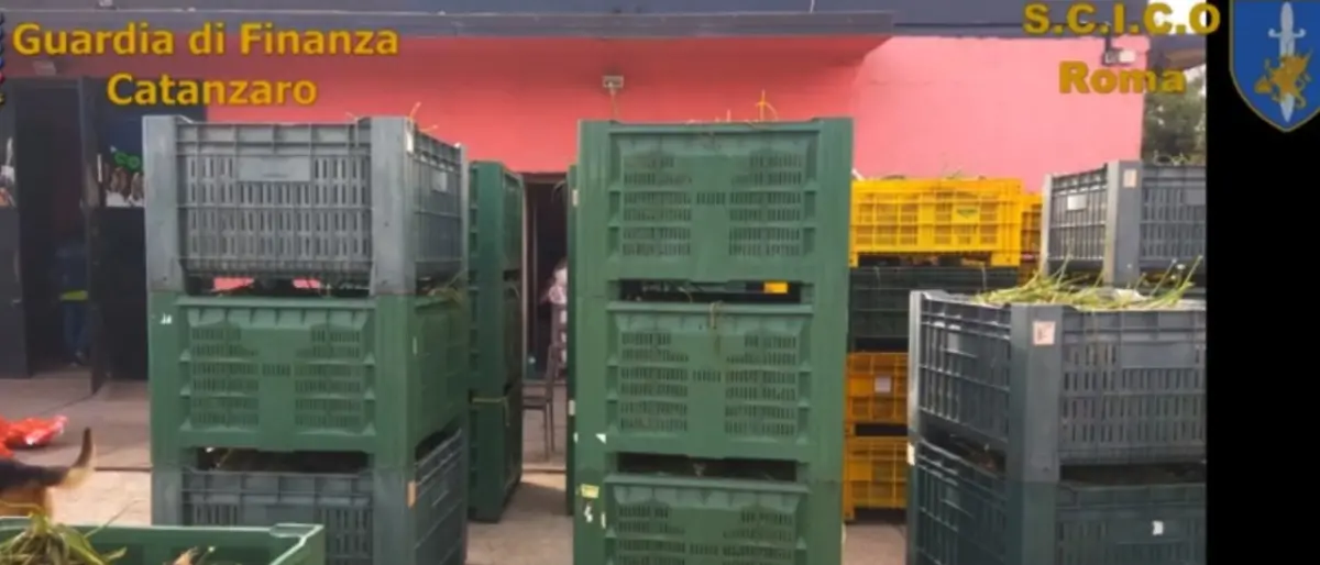 \"Crypto\", le difese: «Le accuse contro Suriano e Porcaro passino alla Dda di Catanzaro»