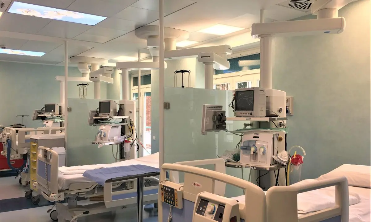 Cosenza, presunto caso di intossicazione da funghi: 31enne ricoverato a Bari in condizioni critiche