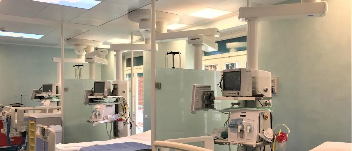 Cosenza, presunto caso di intossicazione da funghi: 31enne ricoverato a Bari in condizioni critiche