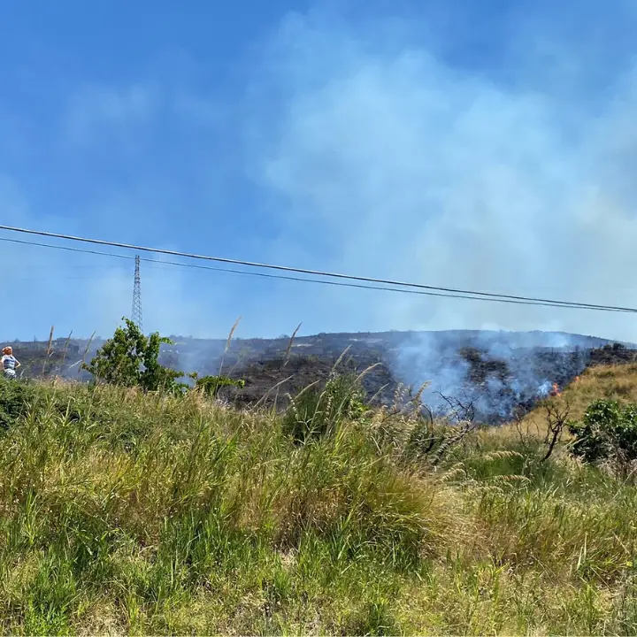 Incendio a San Lucido, le fiamme lambiscono i tralicci dell'Enel
