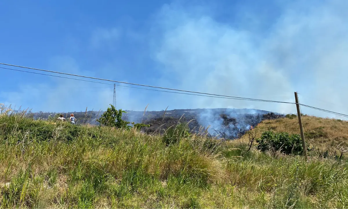 Incendio a San Lucido, le fiamme lambiscono i tralicci dell'Enel