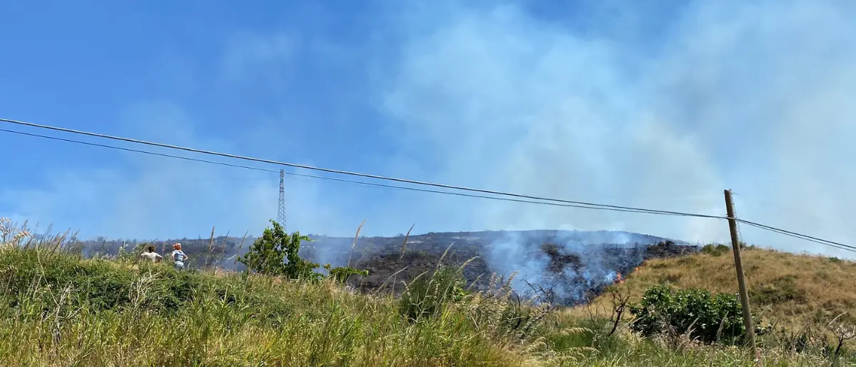 Incendio a San Lucido, le fiamme lambiscono i tralicci dell'Enel