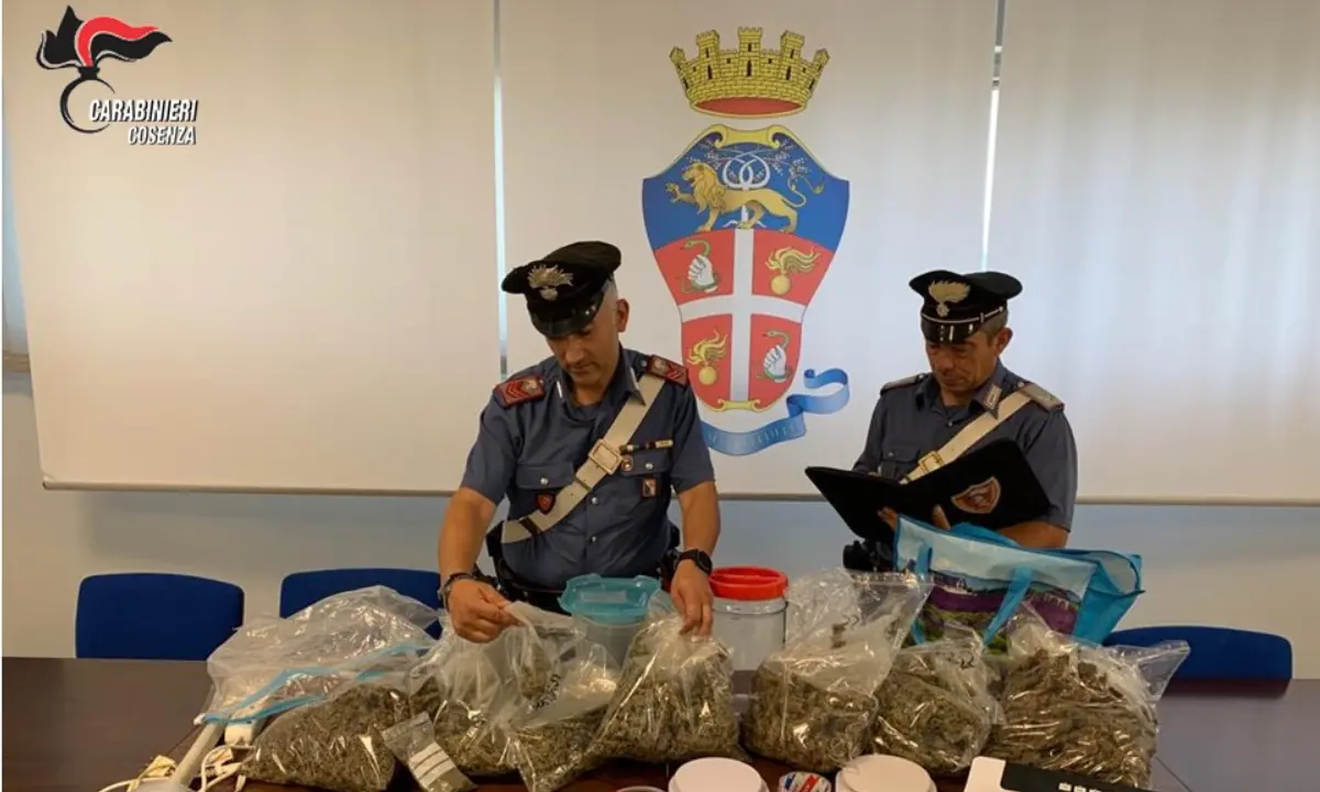 Rende, 32enne beccato con 2 due chili di marijuana: arrestato