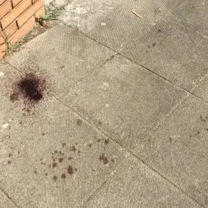 Cittadella, accoltellato un uomo al termine di una scazzottata: avviate le indagini (VIDEO)