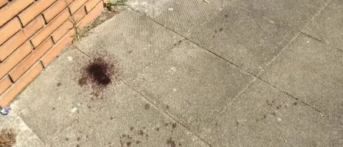 Uomo accoltellato a Cittadella del Capo: è stata una spedizione punitiva. E spunta anche una pistola