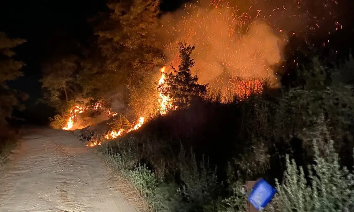 Incendio nella notte a Casali del Manco, intervengono i vigili del fuoco