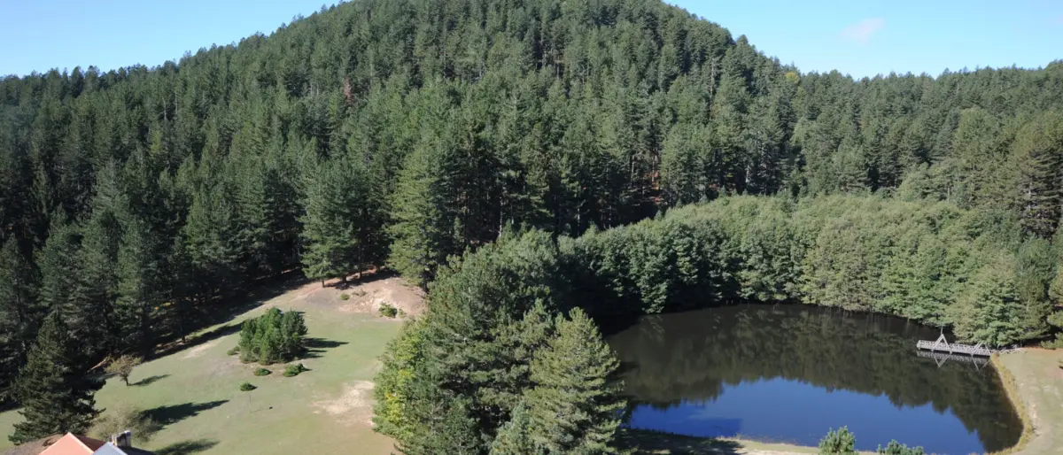 Nuova tappa di \"Be Alternative Festival\" in Sila con il live di Marta Del Grandi