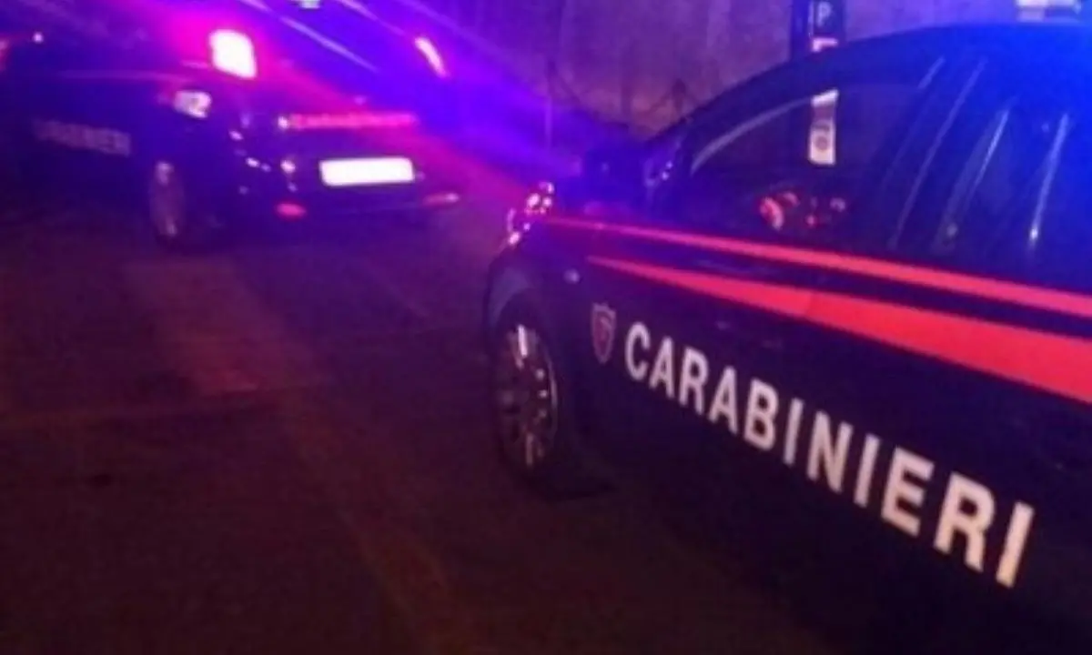 'Ndrangheta, blitz contro la cosca Bellocco: 47 persone in carcere e 16 ai domiciliari