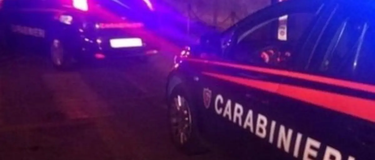 'Ndrangheta, blitz contro la cosca Bellocco: 47 persone in carcere e 16 ai domiciliari